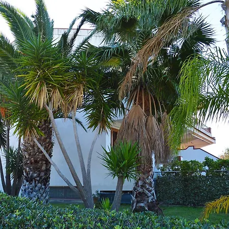 House Paradise Amedeo *